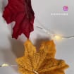 listing-video-1
