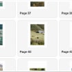 listing-video-1