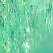 listing-video-1