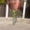 listing-video-1