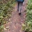listing-video-1