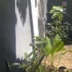 listing-video-1