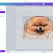 listing-video-1