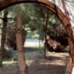listing-video-1