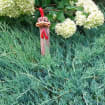 listing-video-1