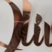 listing-video-1