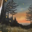 listing-video-1