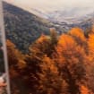 listing-video-1