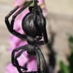 listing-video-1