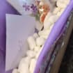 listing-video-1