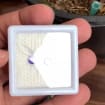listing-video-1