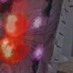 listing-video-1