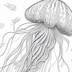 Jellyfish Adult Coloring Book: Large One Sided Stress Relieving, Relaxing  C 9781548158941