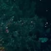 listing-video-1