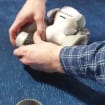 listing-video-1