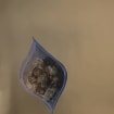 listing-video-1