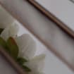 listing-video-14