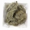 listing-video-1