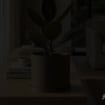 listing-video-1