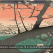 listing-video-1