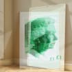 listing-video-1