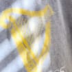 listing-video-1