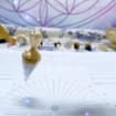 listing-video-1