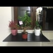 listing-video-1