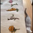 listing-video-1