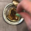 listing-video-1