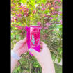 listing-video-1