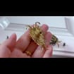 listing-video-1