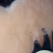 listing-video-1