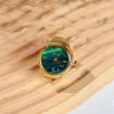 listing-video-1