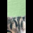 listing-video-2