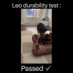 listing-video-1