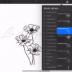 listing-video-1