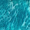 listing-video-1