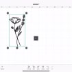 listing-video-1