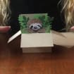 listing-video-1