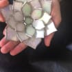 listing-video-1