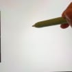 listing-video-1