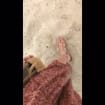 listing-video-1