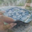 listing-video-1