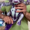 listing-video-1