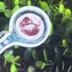 listing-video-1