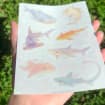 listing-video-1