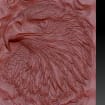 listing-video-1