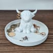 listing-video-1