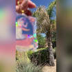 listing-video-1